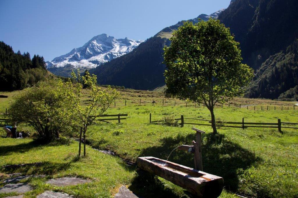 Garni Roesslhof Hotell Hollersbach im Pinzgau Eksteriør bilde