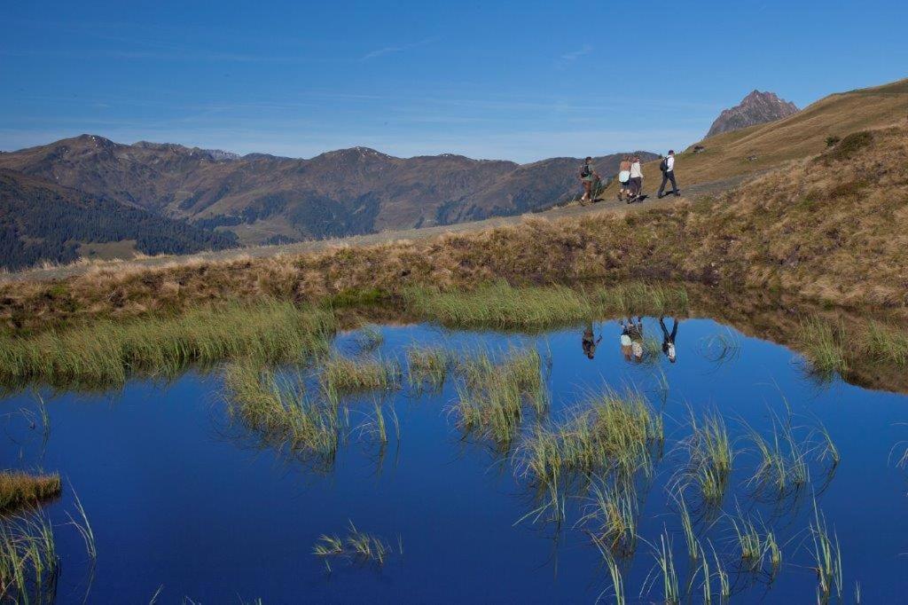 Garni Roesslhof Hotell Hollersbach im Pinzgau Eksteriør bilde