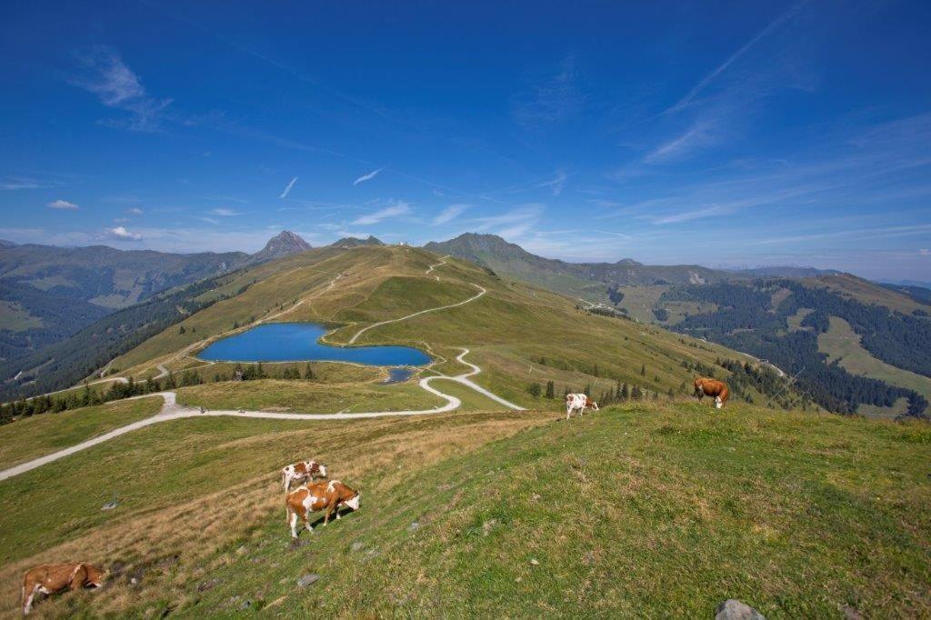 Garni Roesslhof Hotell Hollersbach im Pinzgau Eksteriør bilde